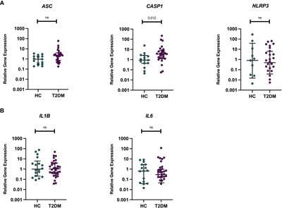 Neuropsychological decrements in midlife type-2 diabetes are not associated with peripheral NLRP3 inflammasome responsiveness